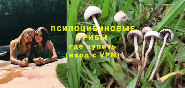 СК Михайловка