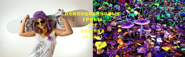 твердый Михайловск