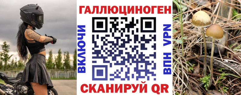 купить  сайты  Джанкой  Псилоцибиновые грибы ЛСД 