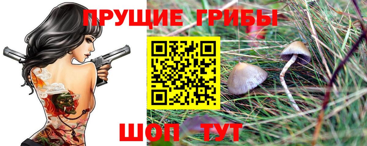 Псилоцибиновые грибы мицелий  Вход с VPN  Псилоцибиновые грибы мухоморы  Джанкой 
